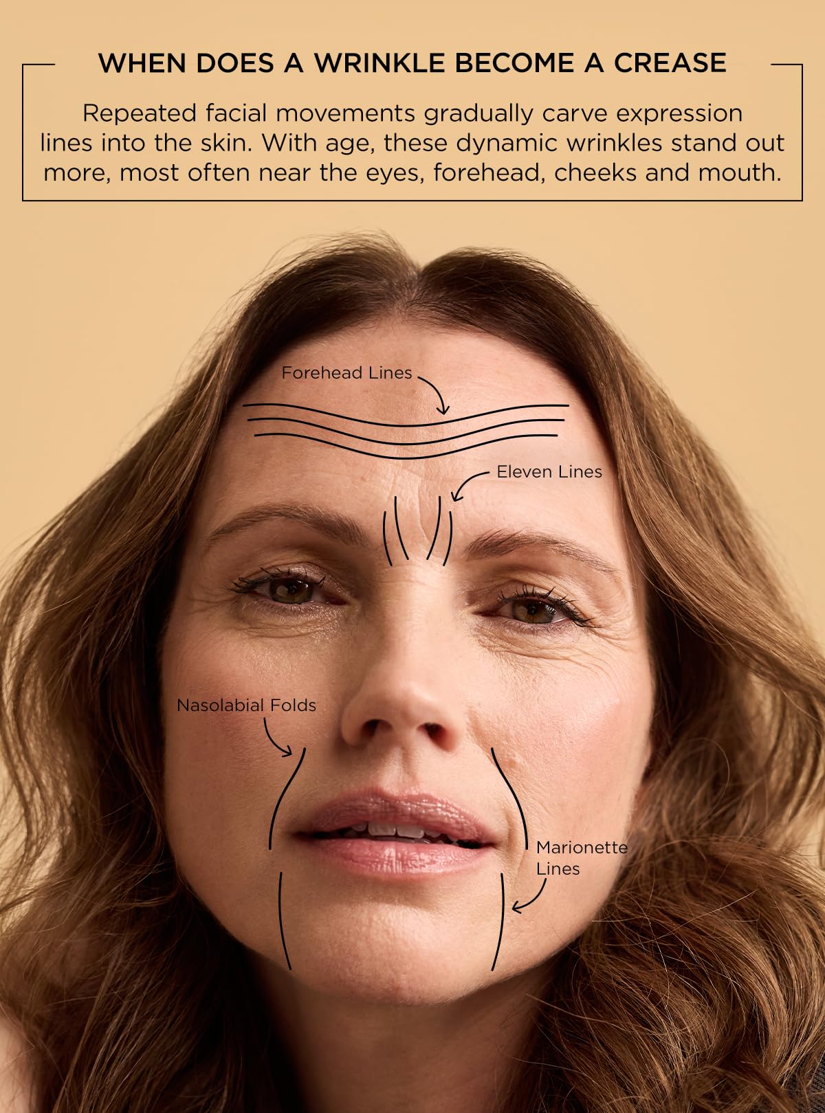 Perricone MD Neuropeptide serum as part of a daily anti-aging routine