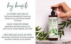 PHARM TO TABLE Tea Tree Conditioner ingredients tea tree oil and aloe
