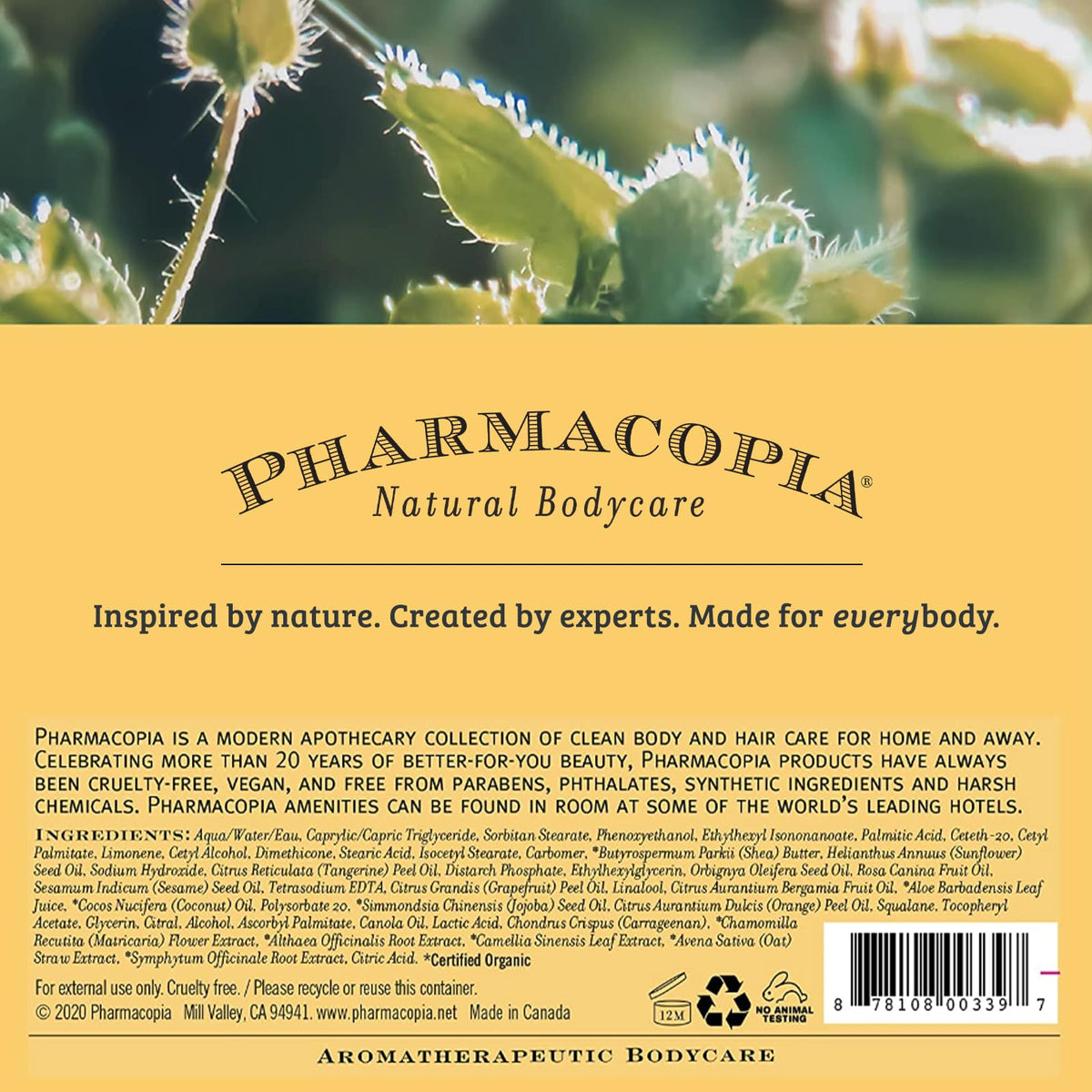 Pharmacopia Citrus Body Lotion shea butter-rich formula close-up