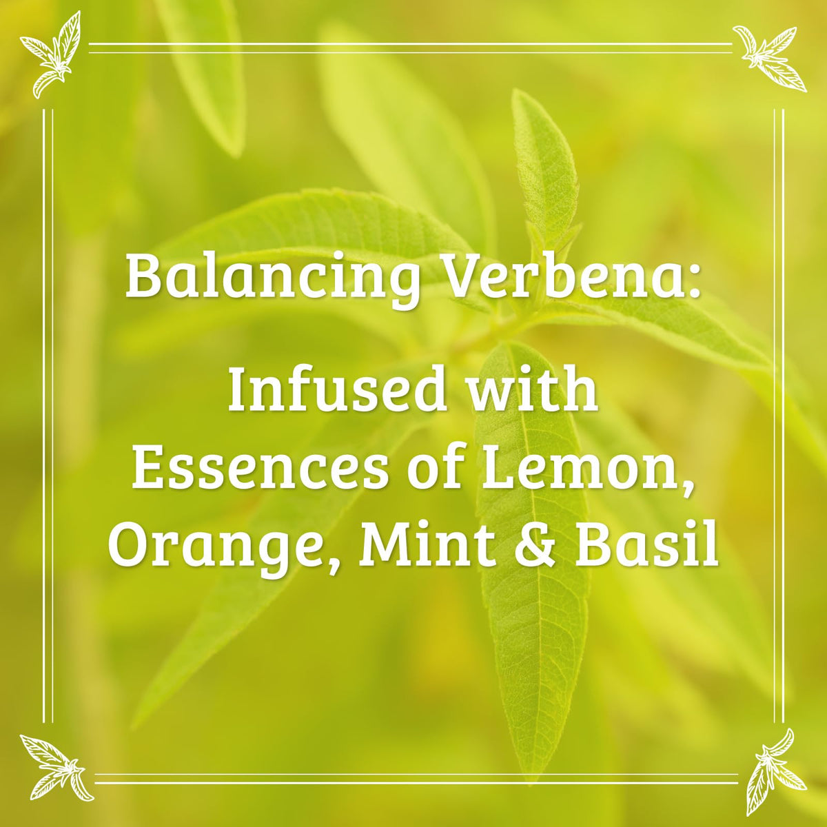 Aromatherapy scents image suggesting lemon, mint, and cedarwood uplift for a refreshing routine.