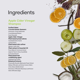 Phillip Adam Shampoo on color-treated hair care routine.
