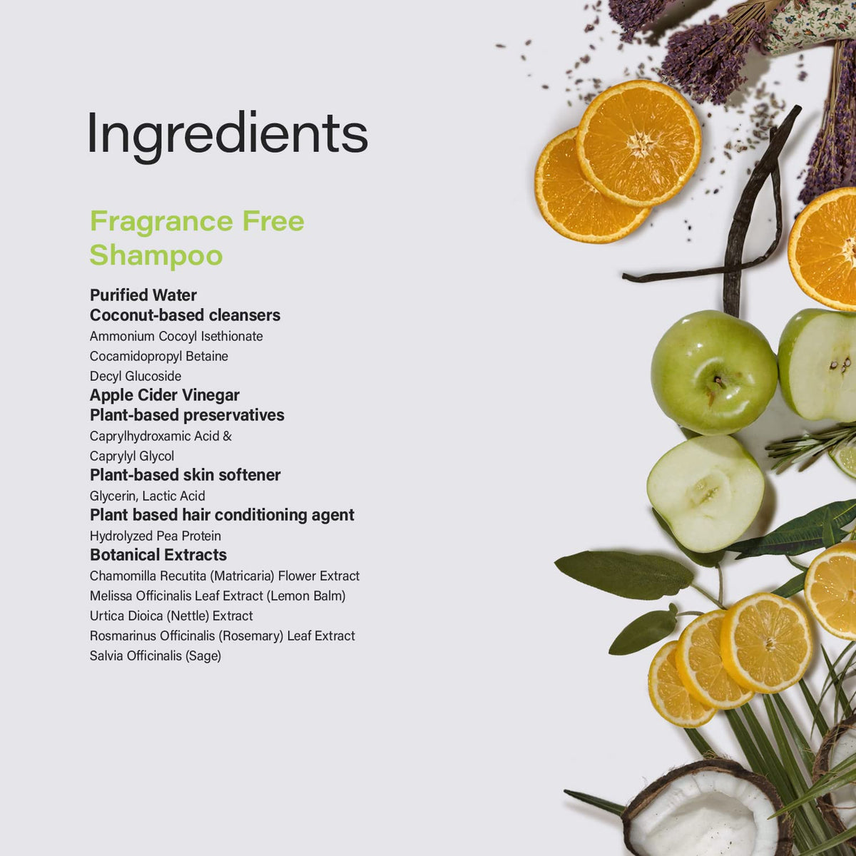 Phillip Adam fragrance-free shampoo label highlights no sulfates or parabens.