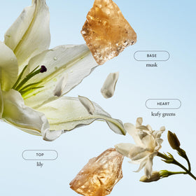 Philosophy Pure Grace whipped texture close-up of airy cream