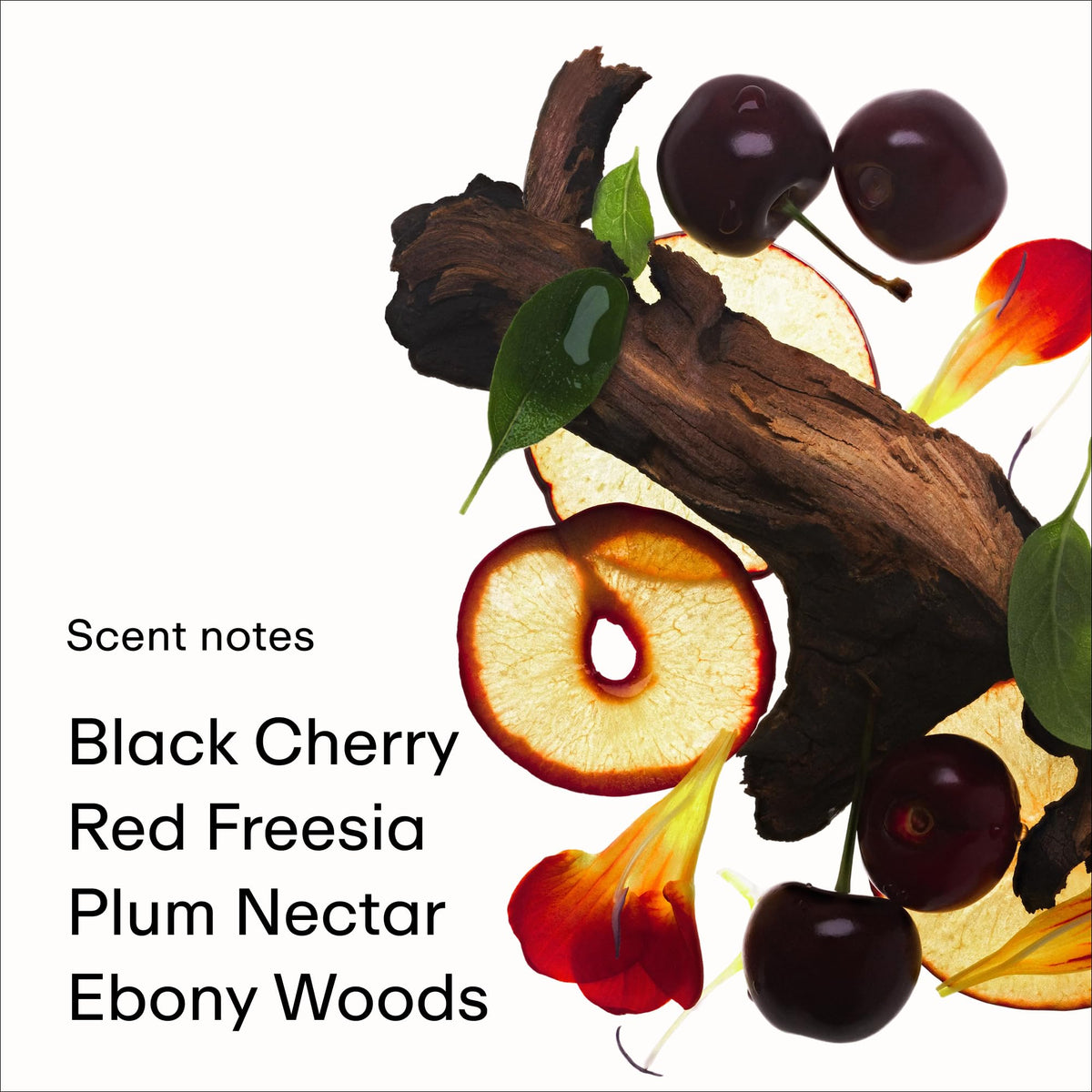 PHLUR Cherry Stem heart notes showcase floral sweetness and cherry depth for daytime charm.