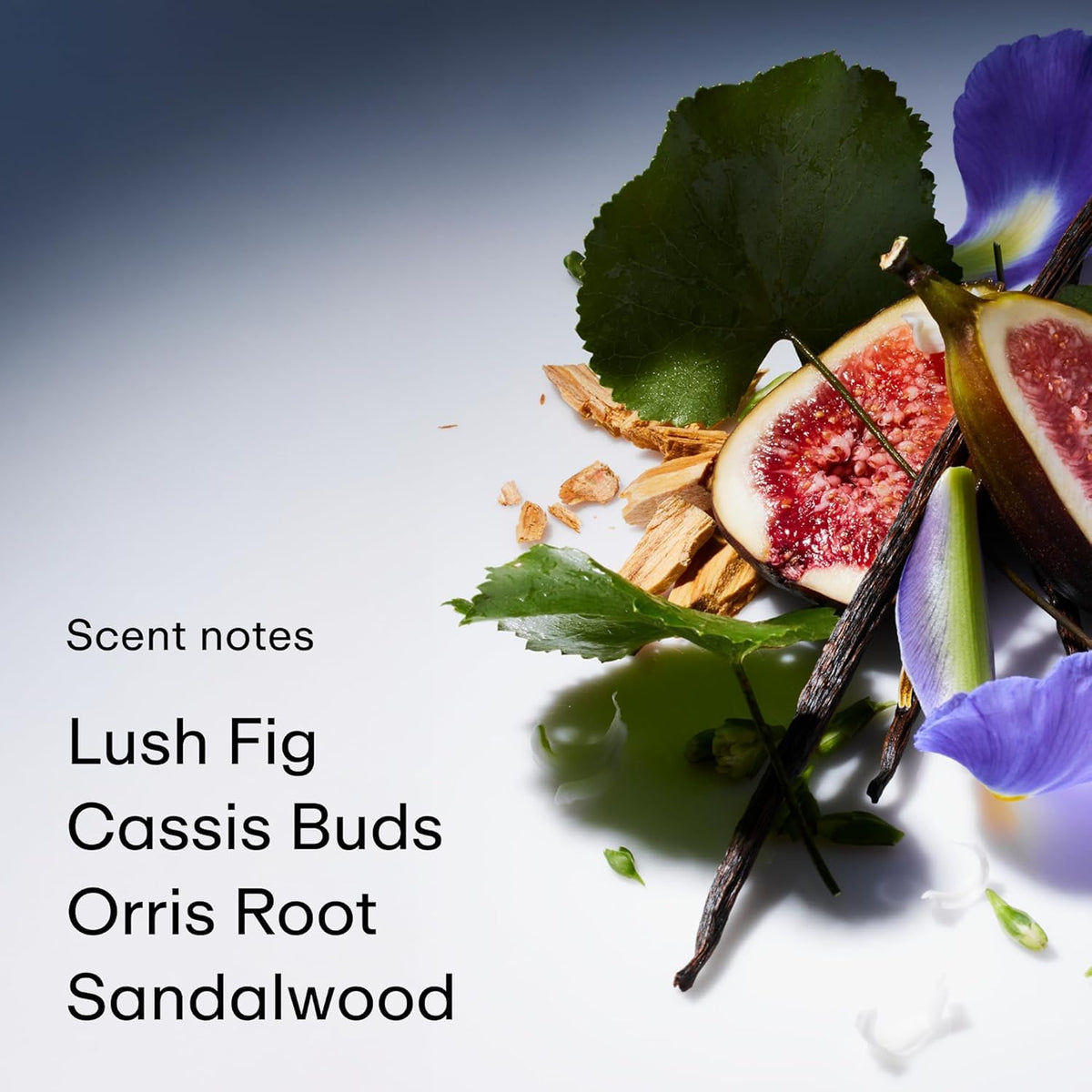 PHLUR Father Figure floral-heart-notes add elegance with iris and jasmine.