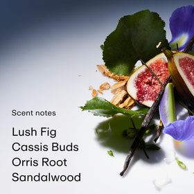 PHLUR Father Figure floral-heart-notes add elegance with iris and jasmine.