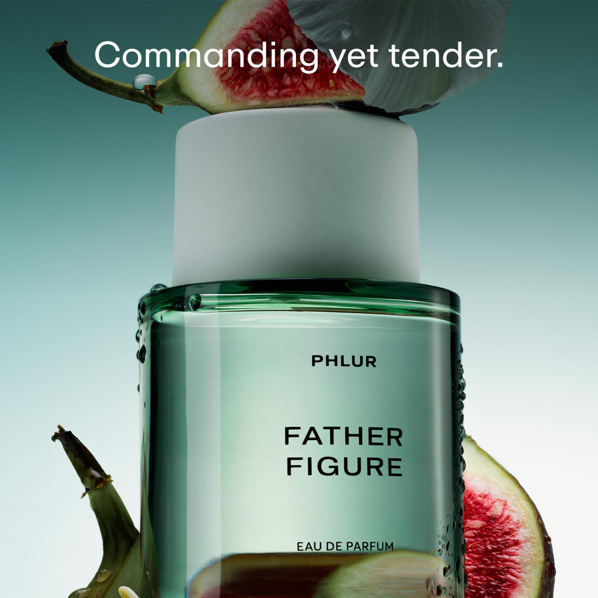 PHLUR Father Figure waterlily fig cassis-opening for a crisp, modern intro.