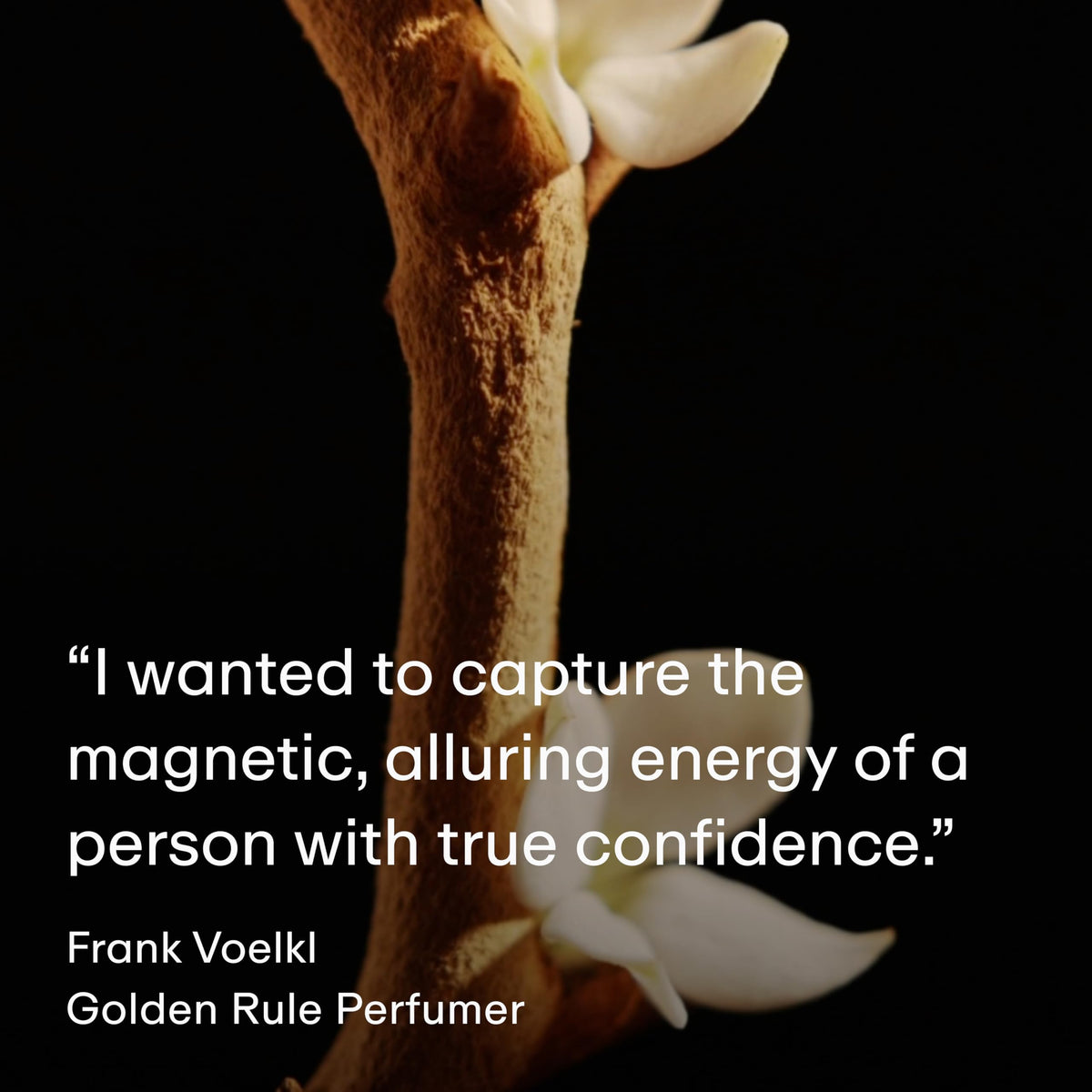 PHLUR Golden Rule warm-lit setup suggests evening wear inspiration.