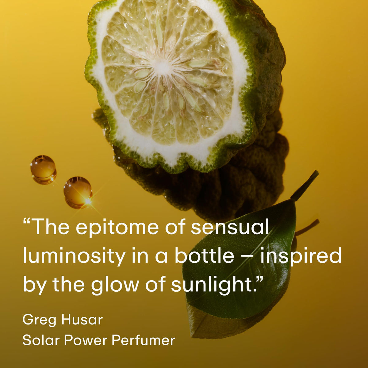PHLUR Solar Power base notes driftwood and sea salt create coastal warmth.