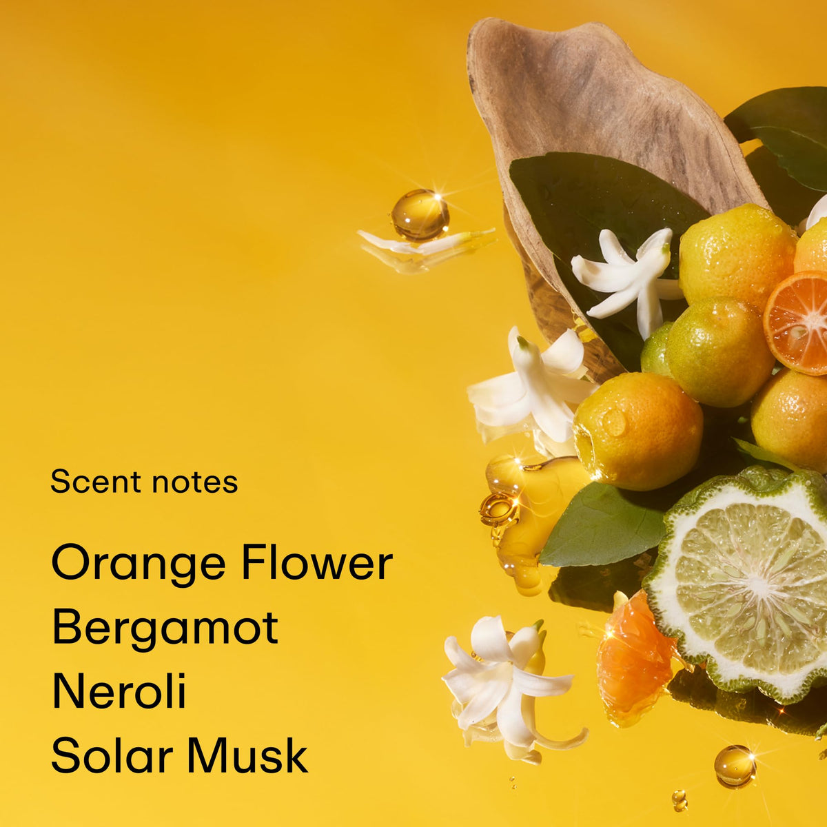 PHLUR Solar Power top notes Italian Red Mandarin evoke sunny brightness.