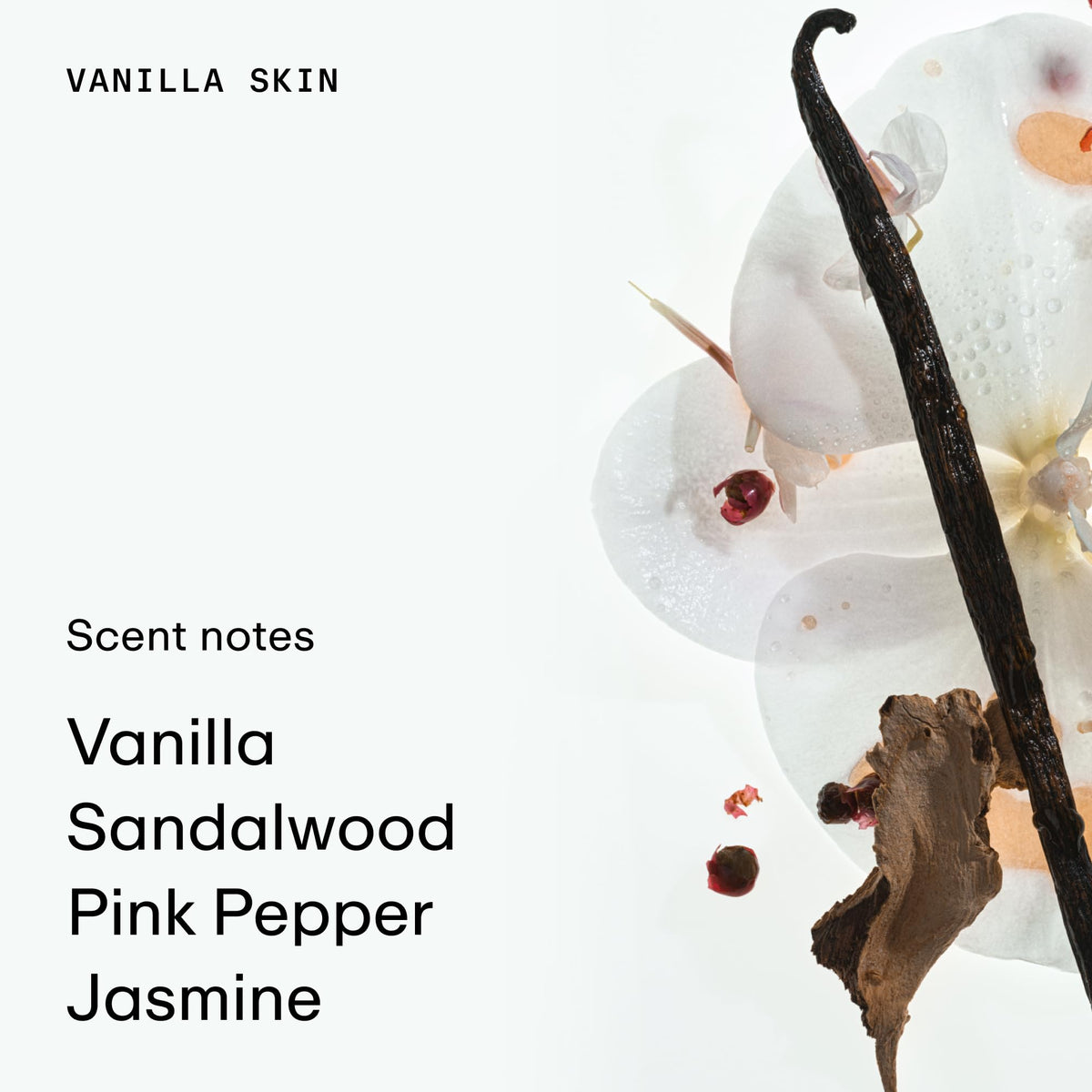 PHLUR Vanilla Skin heart notes image emphasizes lily and jasmine for soft warmth.