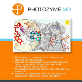 Visual suggesting sun protection and DNA enzymes in formula.