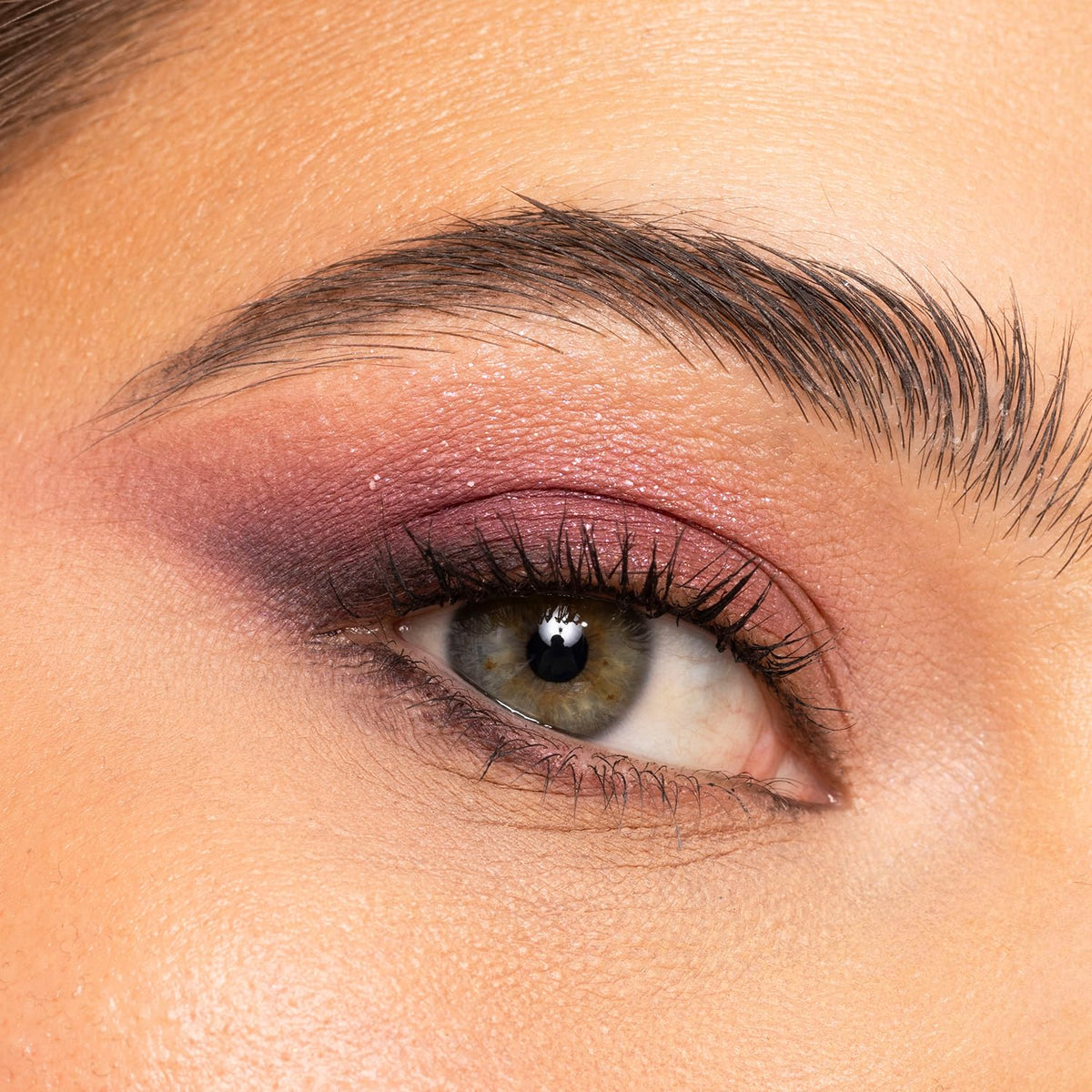 Row of shimmering shades from Physicians Formula Eyeshadow Bouquet for radiant day looks.