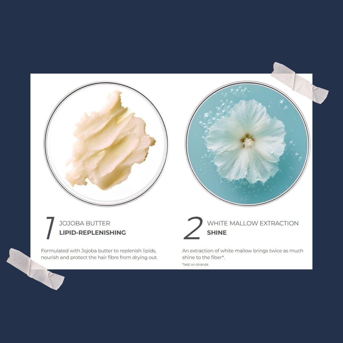 Smooth dispersion of PHYTO NOURISHMENT creamy mask on strands.