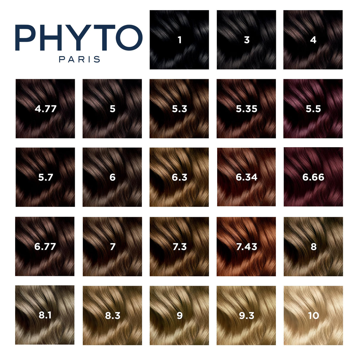 PHYTO Phytocolor demonstration of 100% grey coverage for blending
