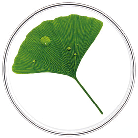 PHYTOCYANE daily routine visuals illustrate simple use.