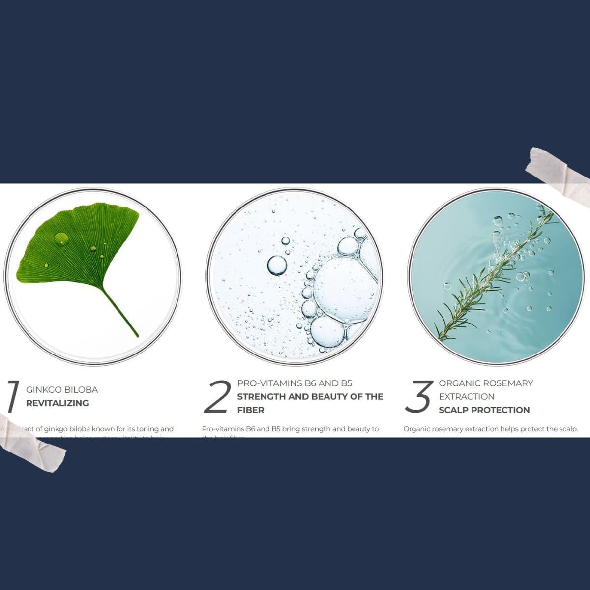 France-made PHYTOCYANE crest on packaging emphasizing craftsmanship