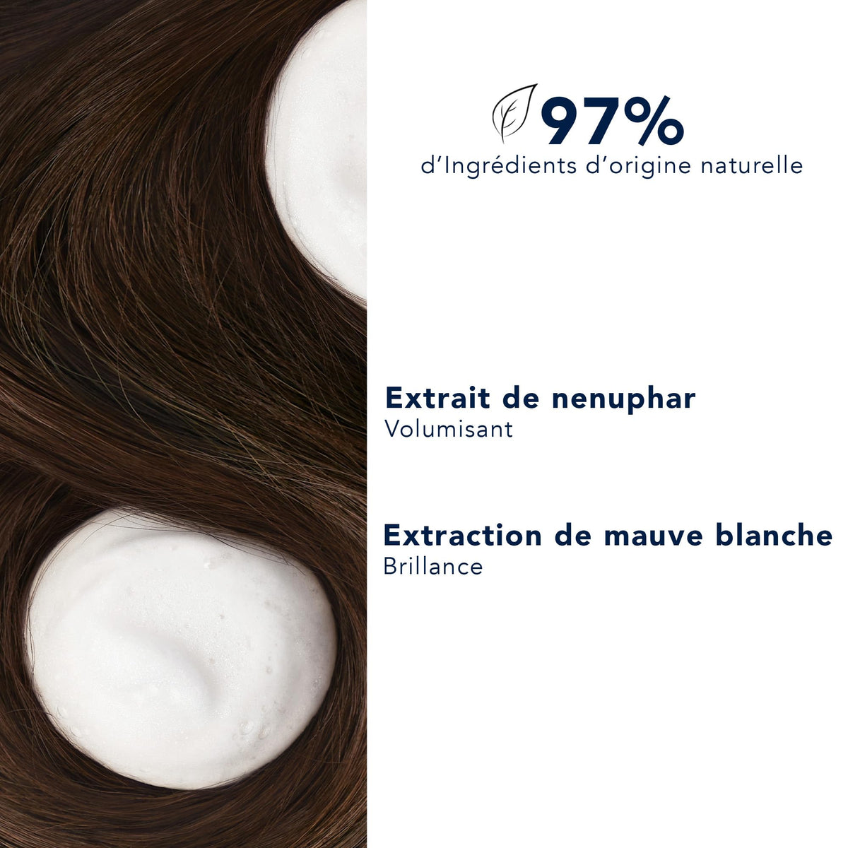 Phyto Volume conditioner hair texture after use showing lift and shine.