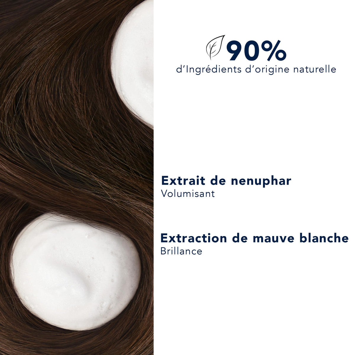 Hair showing root lift after using PHYTO VOLUME Shampoo for enhanced volume.