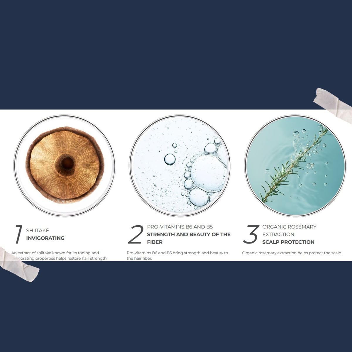 PHYTOCYANE shampoo lather visual shows rich foam for a soothing cleanse