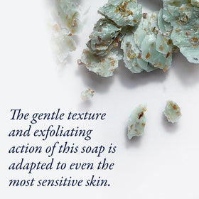PHYTOMER moisturizing seaweed cleanser nourishes skin after use