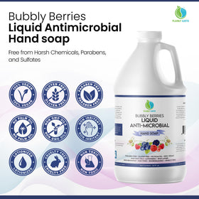Plainly Earth hand soap gentle moisturizing formula for everyday use