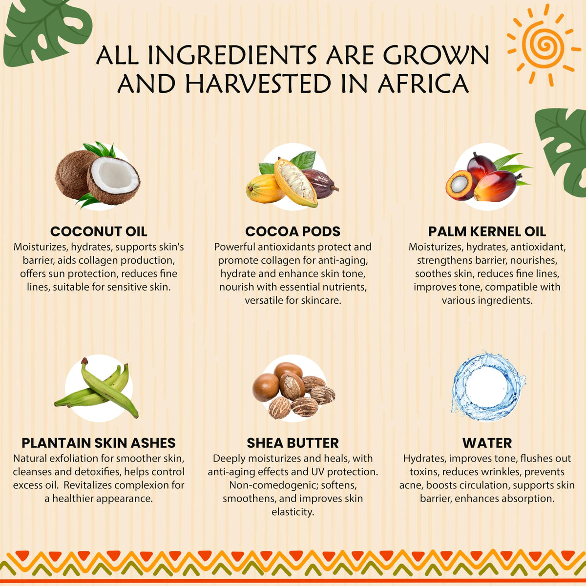 Plant Guru African Black Soap Paste used as body wash for moisturized skin.