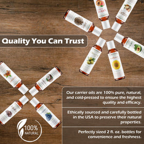 Plant Guru Apricot Kernel carrier oil 2 oz rich in nutrients for skin vitality.