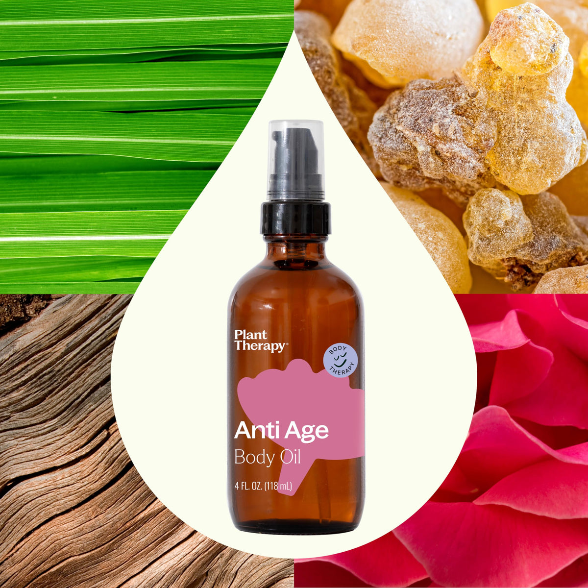 Plant Therapy Anti Age Body Oil ingredients lineup highlights frankincense and sandalwood.