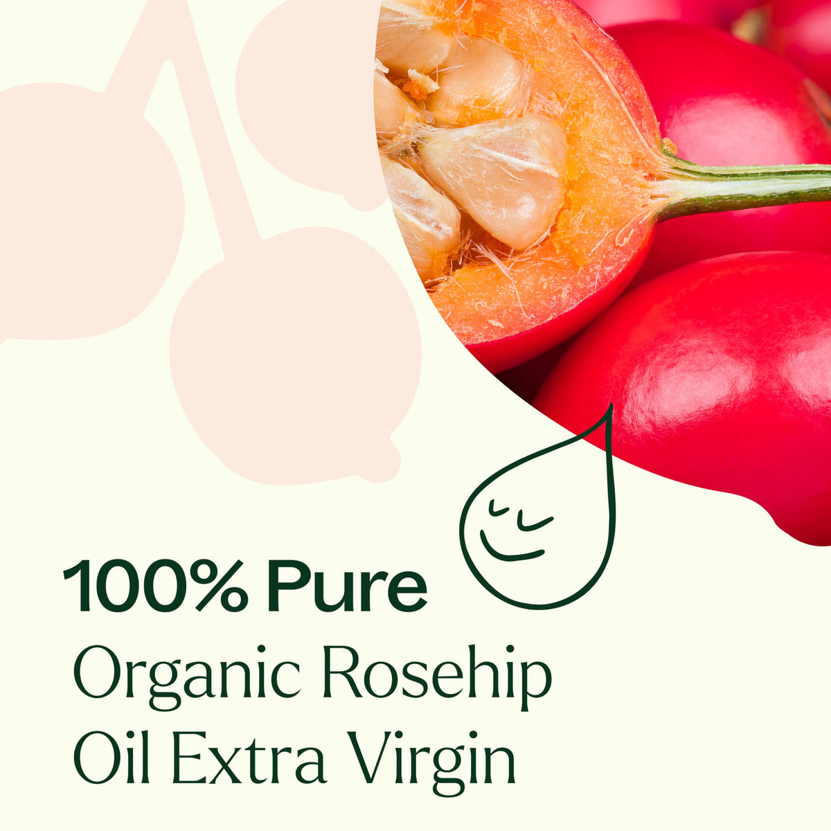 Plant Therapy Rosehip Oil dropper for precise skincare application.