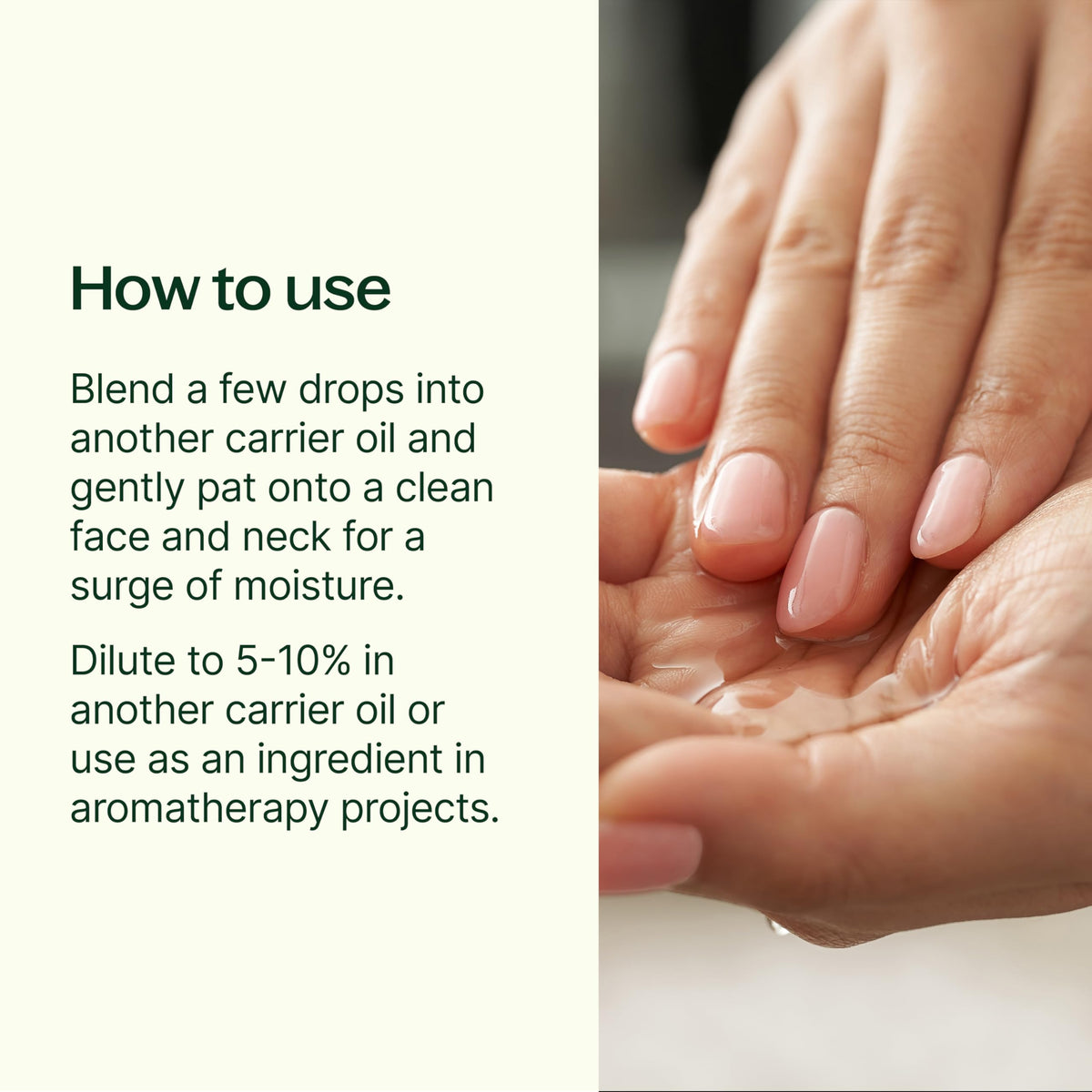 Plant Therapy Rosehip Oil pour for easy topical application.