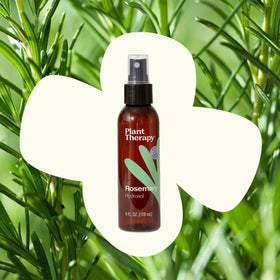Plant Therapy Rosemary Hydrosol bottle beside cotton pad for gentle skincare routine.
