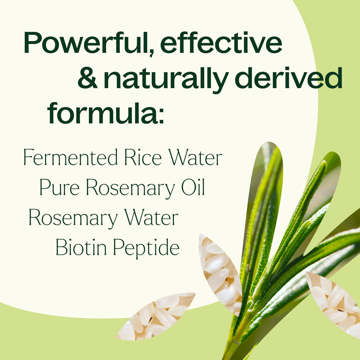 Midday refresh with Plant Therapy spray revitalizing hair during the day.