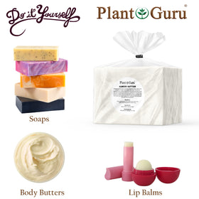 Plant Guru Kokum Butter for hair care and elasticity
