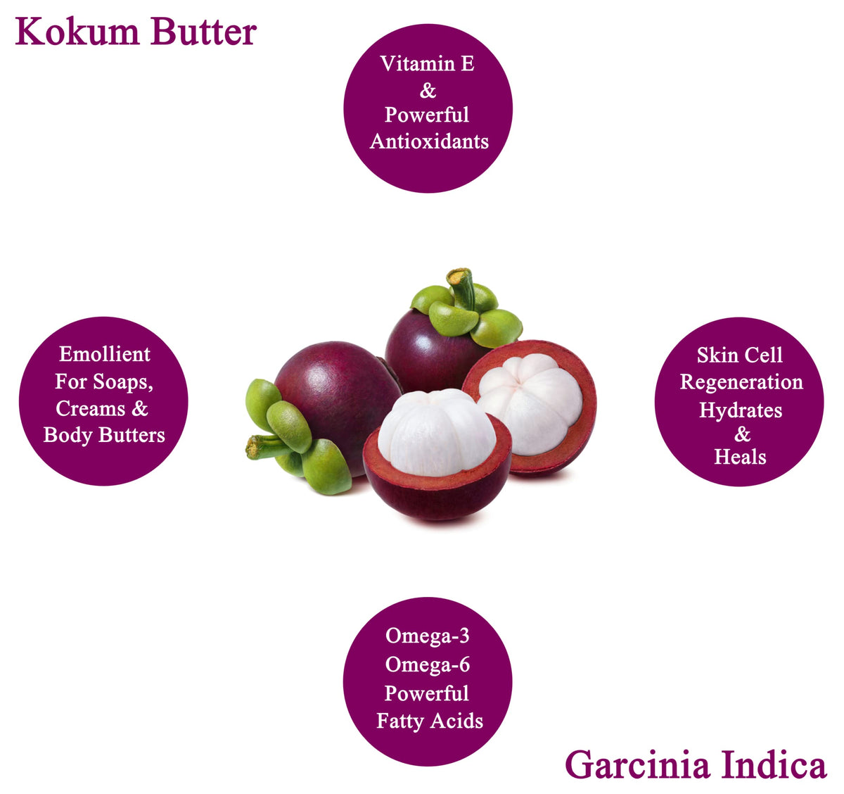 Plant Guru Kokum Butter rich in vitamin E nourishes skin and hair