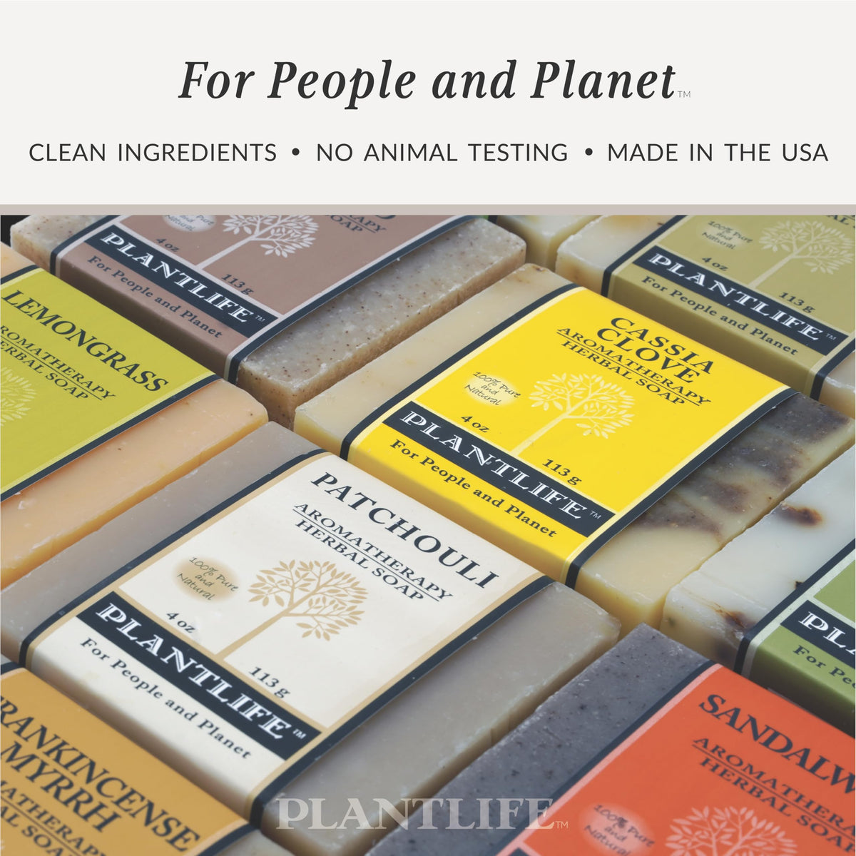 Plantlife Patchouli 3-Pack Bar Soap lather suggesting moisturizing benefits.