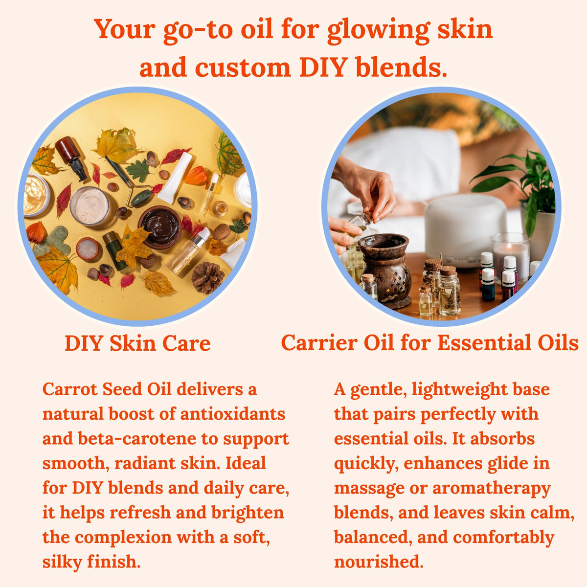 Pomberries Carrot Seed Oil body care scene for versatile moisture.