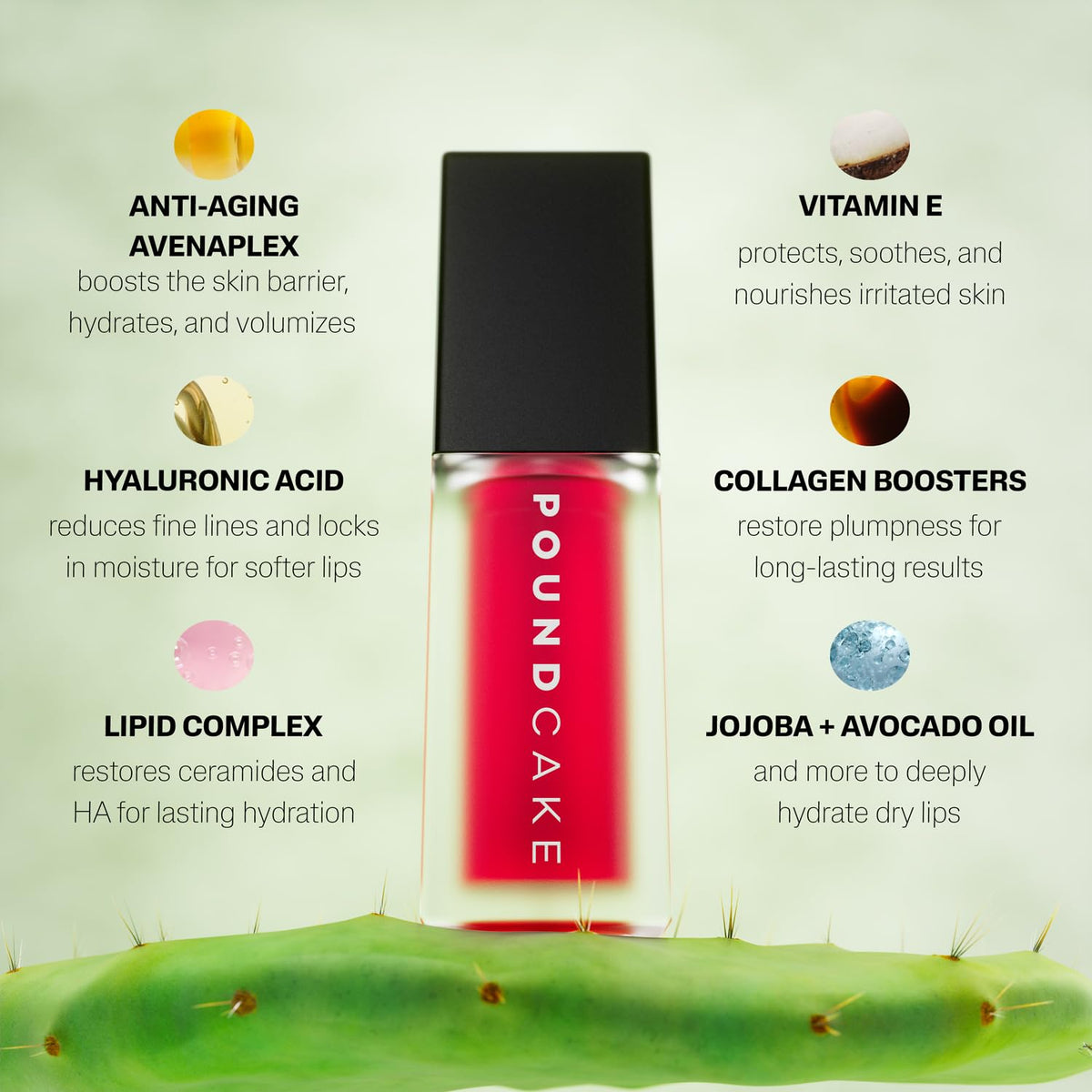 POUND CAKE Cake Theory lip-tone oil on lips reveals even tone and glow