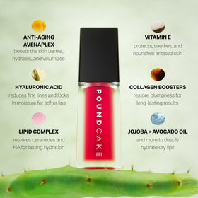 POUND CAKE Cake Theory lip-tone oil on lips reveals even tone and glow