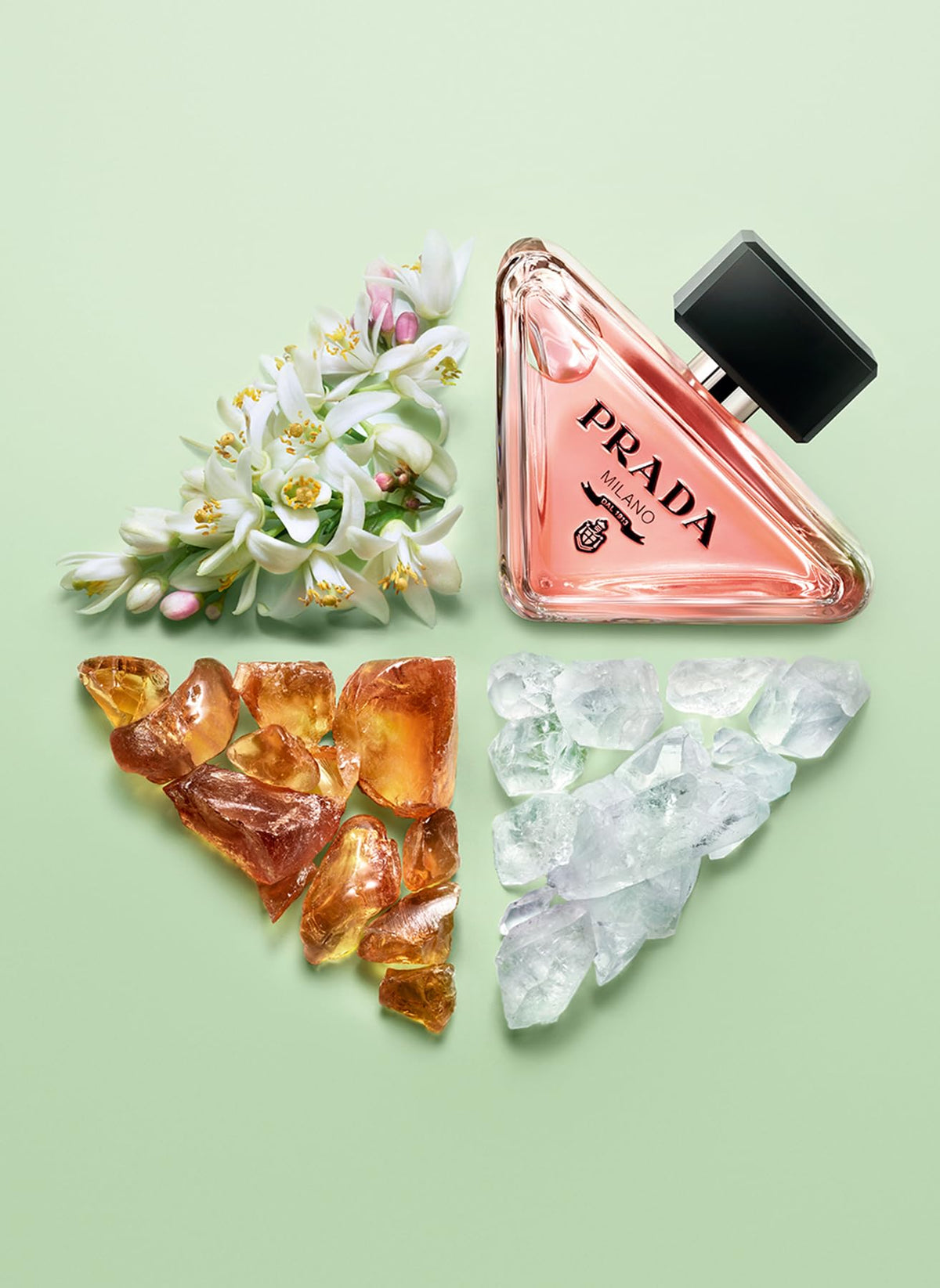 Prada Paradoxe Virtual Flower packaging box with elegant branding