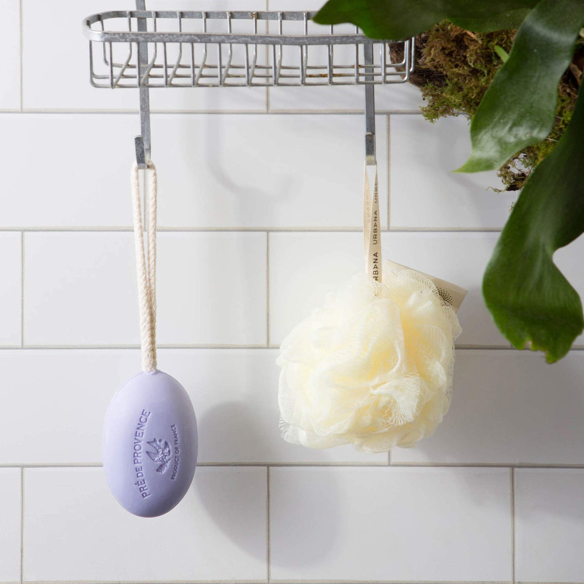 Pre de Provence shea butter enriched soap nourishes skin