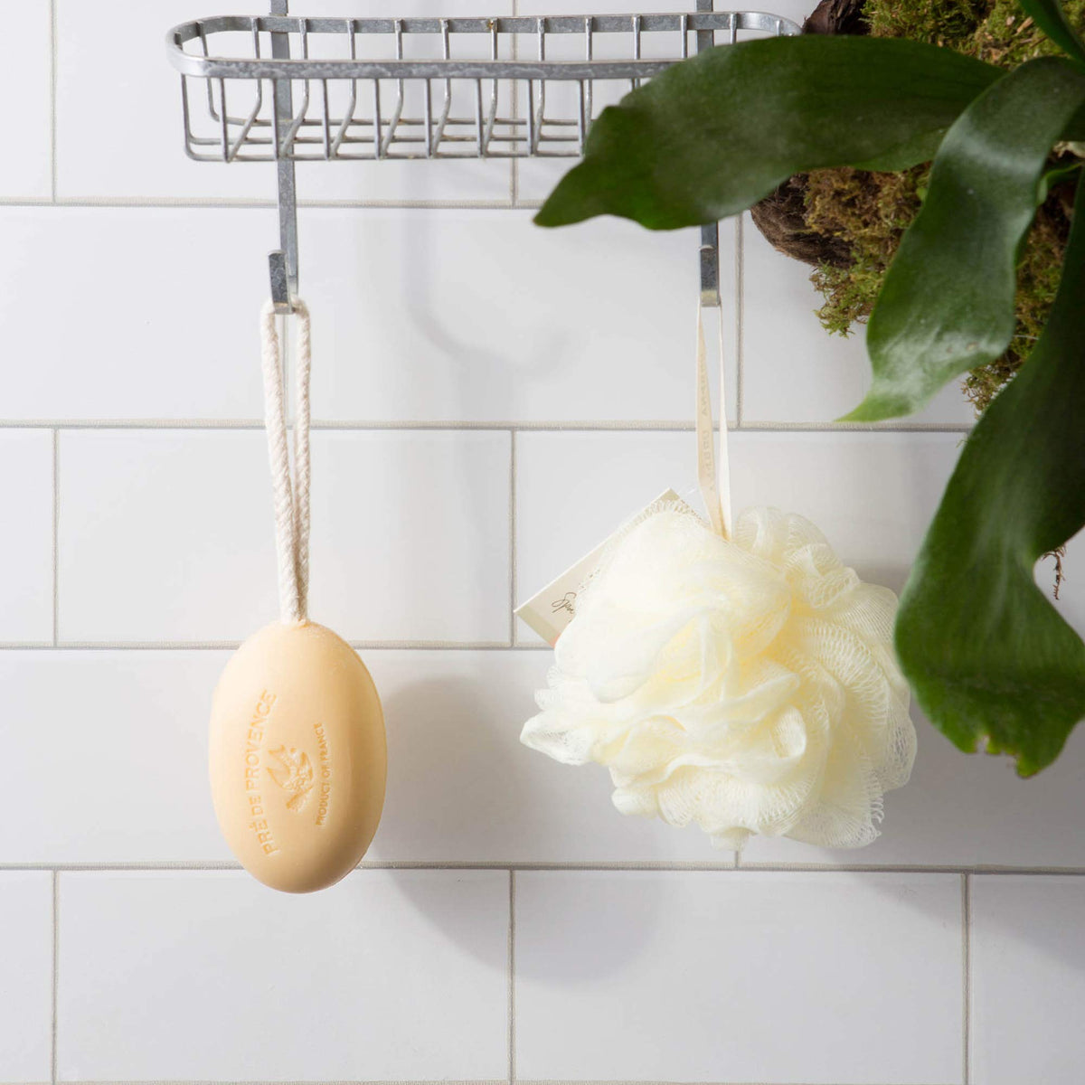Pre de Provence sandalwood soap on a rope hanging to dry for extended life