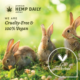 Cucumber and rosehip infusion in Premium Hemp Extract Daily Cream nourishes the skin