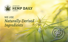 Premium Hemp Extract Daily Intensive Cream applied on knee joint area