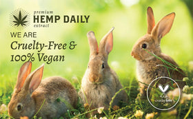 Hands applying Premium Hemp Extract Daily Ultimate Cream to neck and shoulders