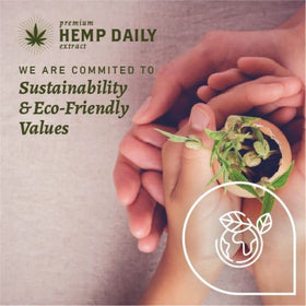Ingredients spotlight: argan, jojoba, and rosehip in Premium Hemp Extract Daily Ultimate Cream