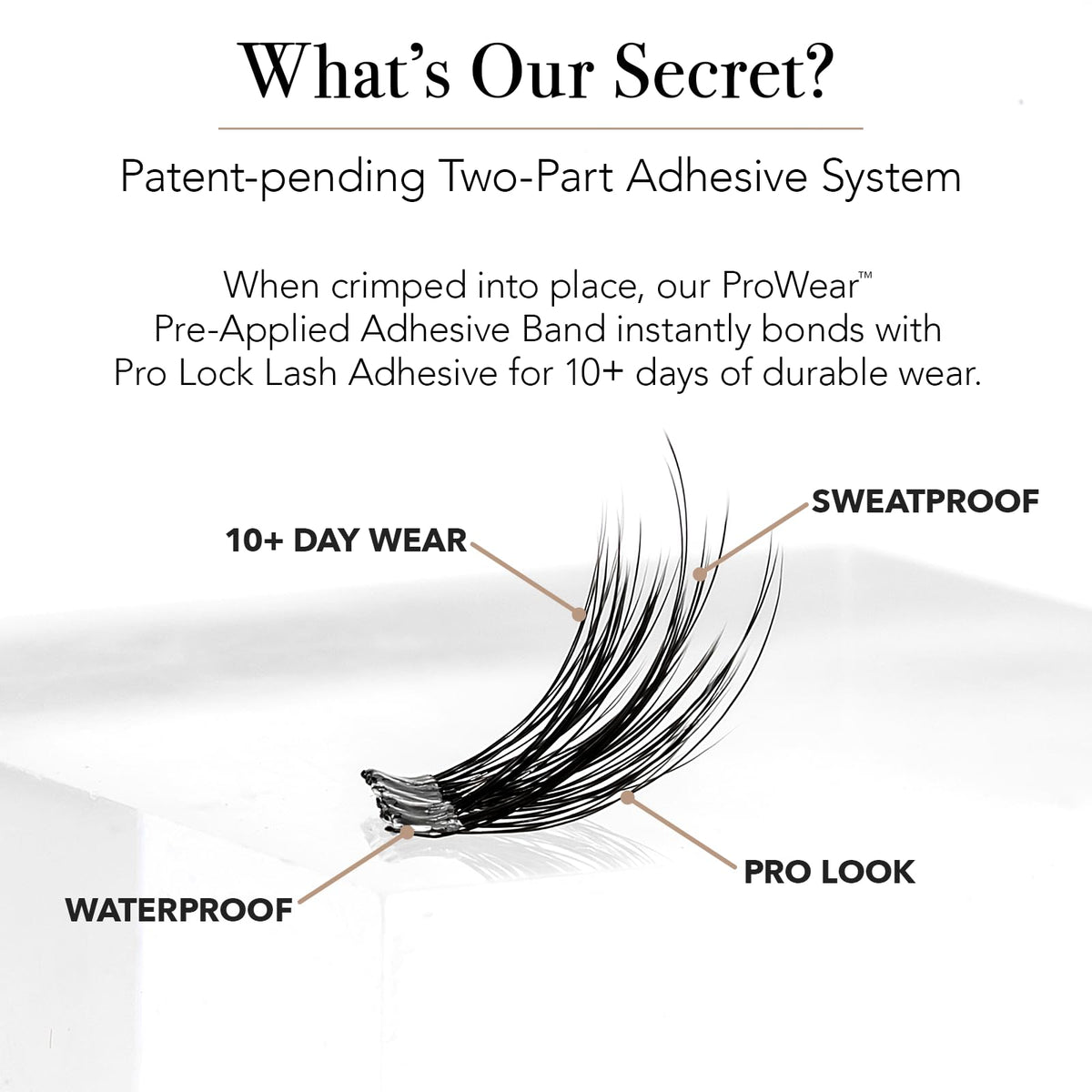 Crimped Pro Lash ProWear cluster activates ProLock adhesive for secure wear