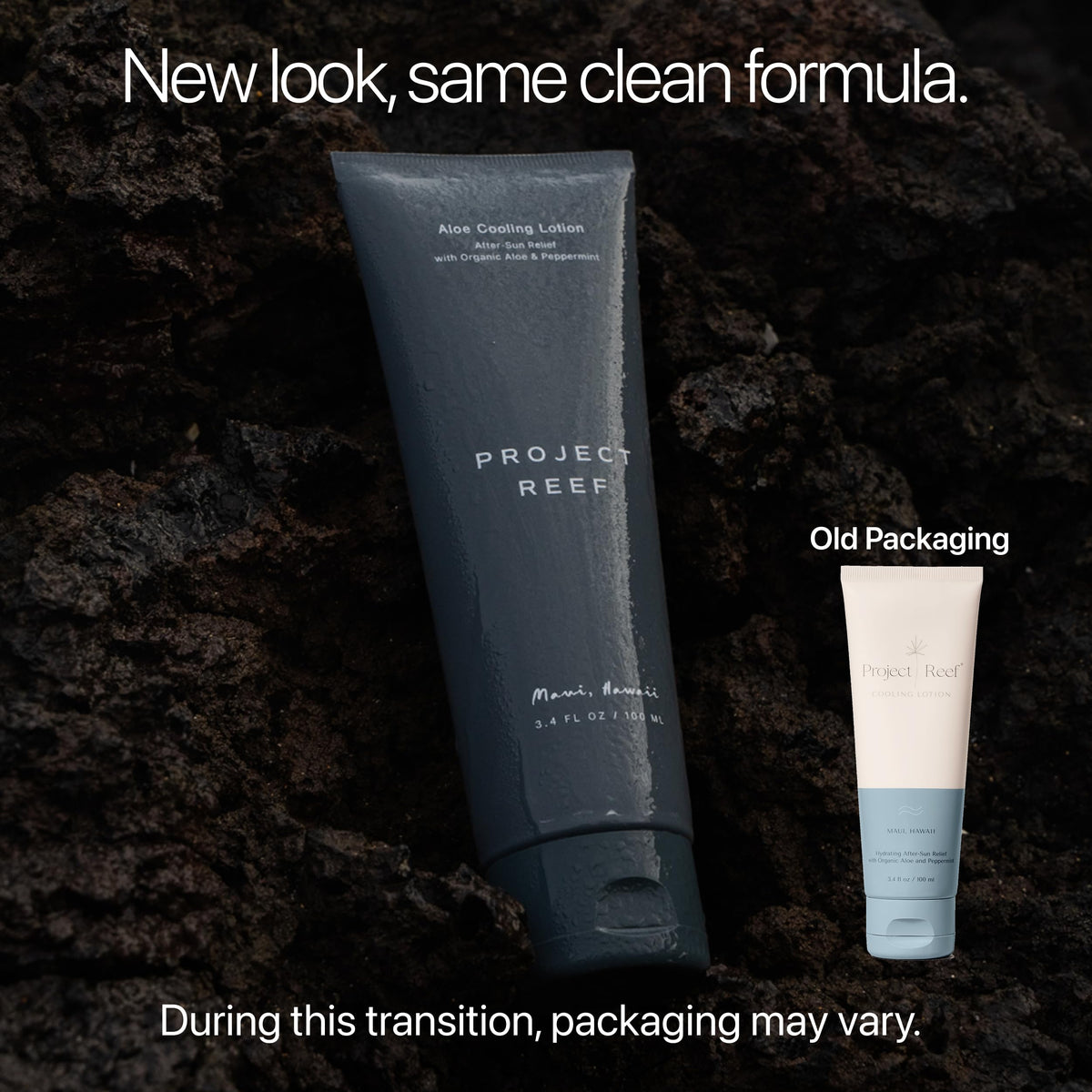 Project Reef aloe vera close-up highlighting soothing hydration