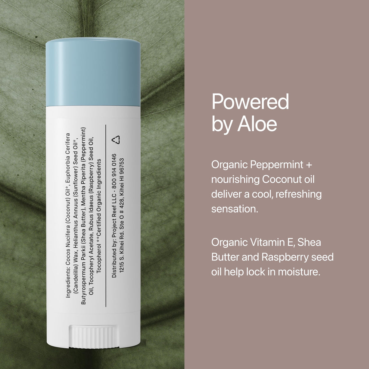 Two-pack display highlights value and sustainable daily use