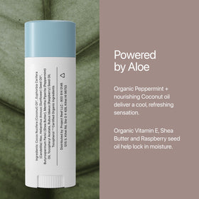 Two-pack display highlights value and sustainable daily use